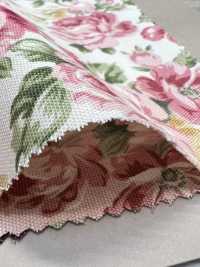 87502 SEVENBERRY® Oxford Rococo Print[Textile / Fabric] VANCET Sub Photo