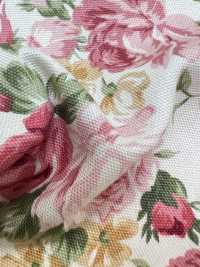 87502 SEVENBERRY® Oxford Rococo Print[Textile / Fabric] VANCET Sub Photo