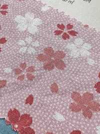 88218 SEVENBERRY® Japanese Loomstate Sheeting[Textile / Fabric] VANCET Sub Photo