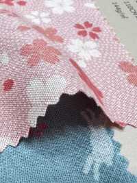 88218 SEVENBERRY® Japanese Loomstate Sheeting[Textile / Fabric] VANCET Sub Photo