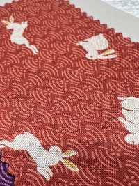 88227 SEVENBERRY® Loomstate -style Sheeting[Textile / Fabric] VANCET Sub Photo