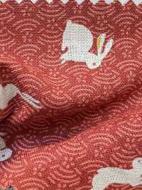 88227 SEVENBERRY® Loomstate -style Sheeting[Textile / Fabric] VANCET Sub Photo