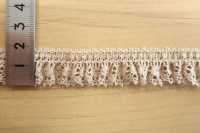 DS2689-S Elastic Band Frill Lace, Stretch Lace Width 19mm Daisada Sub Photo