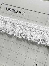 DS2689-S Elastic Band Frill Lace, Stretch Lace Width 19mm Daisada Sub Photo