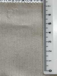 2985 16W Stretch Corduroy[Textile / Fabric] Kumoi Beauty Sub Photo