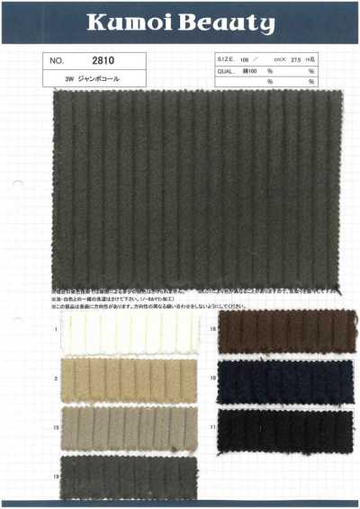 3W Jumbo Corduroy