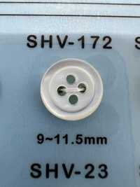 SHV172 4-hole, Bordered Shell Button DAIYA BUTTON Sub Photo