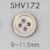 SHV172 4-hole Rimmed Shell Button
