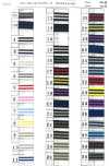 4432 Striped Grosgrain Tape