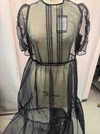 2040RE-FT Recycled Refined Organza[Textile / Fabric] Suncorona Oda Sub Photo