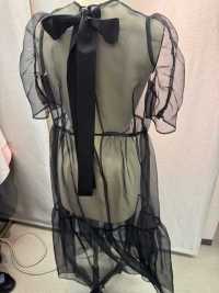 2040RE-FT Recycled Refined Organza[Textile / Fabric] Suncorona Oda Sub Photo