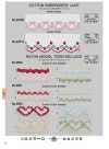 34710 Cotton Embroidery Lace (Approx. 39 Mm)