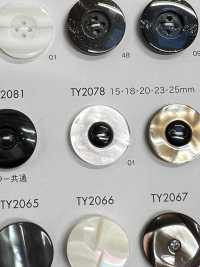TY2078 Polyester Resin 2-hole Button DAIYA BUTTON(DAIYA BUTTON) Sub Photo
