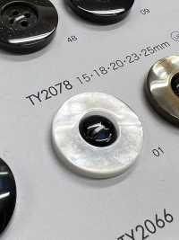 TY2078 Polyester Resin 2-hole Button DAIYA BUTTON(DAIYA BUTTON) Sub Photo