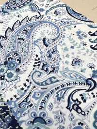4227 Broadcloth Stylish Vintage Big Paisley[Textile / Fabric] VANCET Sub Photo