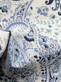 4227 Broadcloth Stylish Vintage Big Paisley[Textile / Fabric] VANCET Sub Photo