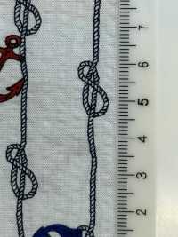82161 SEVENBERRY® Ripple Cross The Sea Is A Man's Romance Anchor And Rope[Textile / Fabric] VANCET Sub Photo