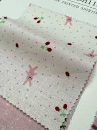 DH11989S Sharing Homie (Rabbit) Half Fold[Textile / Fabric] VANCET Sub Photo