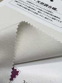 MT32500 NATURAL FACE TWILL[Textile / Fabric] Matsubara Sub Photo