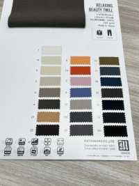 VI60016 RELAXING BEAUTY TWILL[Textile / Fabric] Matsubara Sub Photo