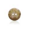 SS1036 Polyester Resin 2-Hole Button With Front Holes