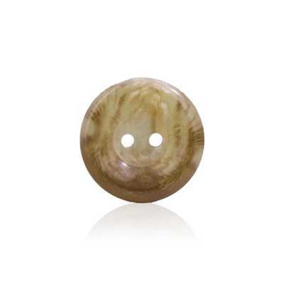 SS1036 Polyester Resin 2-Hole Button With Front Holes
