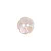SSO19 Shell 2-hole Button