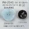 PW2045 Polyester Resin Two-hole Button