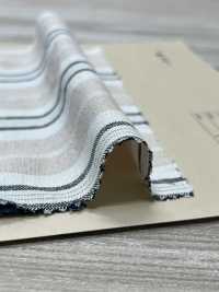 INDIA-480 Cotton Dobby[Textile / Fabric] ARINOBE Sub Photo