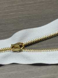 SL-3-C-SAE-TWOE Super Lampo Size 3 Gold Two Way Separator[Zipper] LAMPO(GIOVANNI LANFRANCHI SPA) Sub Photo