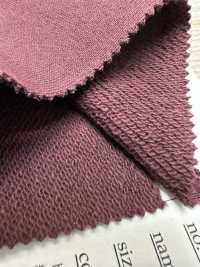 FJ220120 19/10 Turkey Organic BD Fleece[Textile / Fabric] Fujisaki Textile Sub Photo