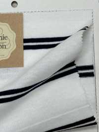 FJ220150 19/- Turkish Organic BD Jersey Horizontal Stripes[Textile / Fabric] Fujisaki Textile Sub Photo