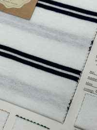 FJ220154 19/- Turkish Organic BD Jersey Horizontal Stripes[Textile / Fabric] Fujisaki Textile Sub Photo