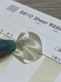 8810 Sheer Ribbon[Ribbon Tape Cord] Telala (Inoue Ribbon Industry) Sub Photo