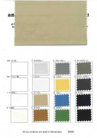 RN5051 Linen Super Broadcloth Plat Air In[Textile / Fabric] KOYAMA Sub Photo