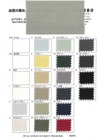 RN5080 80/1 Typewritter Cloth Plat Air In[Textile / Fabric] KOYAMA Sub Photo