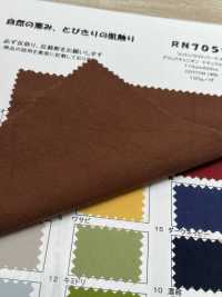 RN7059 Cotton Lighter Perkel Grand Canyon Natural Breeze[Textile / Fabric] KOYAMA Sub Photo