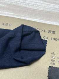 BL480 Roughcott Jersey[Textile / Fabric] Vertex Sub Photo