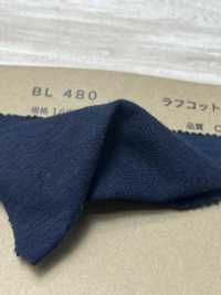 BL480 Roughcott Jersey[Textile / Fabric] Vertex Sub Photo