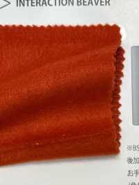 BS41017 INTERACTION BEAVER[Textile / Fabric] Base Space Sub Photo