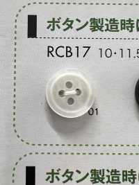 RCB17 Polyester Resin Bordered 4-hole Button DAIYA BUTTON Sub Photo