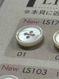 LS17 Polyester Resin Bordered 4-hole Button DAIYA BUTTON Sub Photo