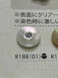 R188 Polyester Resin Buttons DAIYA BUTTON(DAIYA BUTTON) Sub Photo