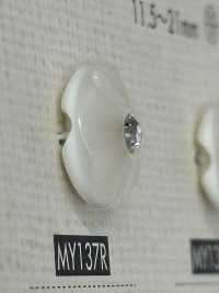 MY137R Polyester Resin Buttons DAIYA BUTTON(DAIYA BUTTON) Sub Photo