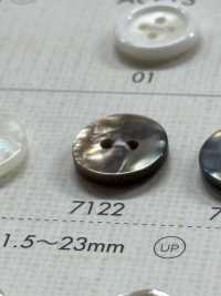 7122 Polyester Resin 2-hole Button DAIYA BUTTON(DAIYA BUTTON) Sub Photo