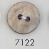 7122 Polyester Resin Two-hole Button