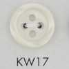 KW17 Polyester Resin Button With Rim, 4-hole
