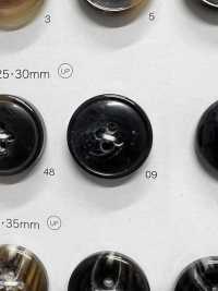 8006 Polyester Resin Bordered 4-hole Button DAIYA BUTTON Sub Photo