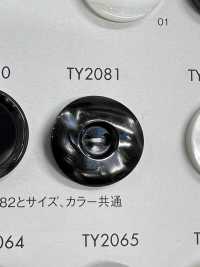 TY2081 Polyester Resin 2-hole Button DAIYA BUTTON Sub Photo