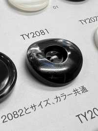 TY2081 Polyester Resin 2-hole Button DAIYA BUTTON Sub Photo